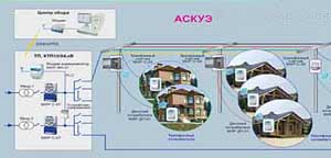 ����� ������ ���� ���